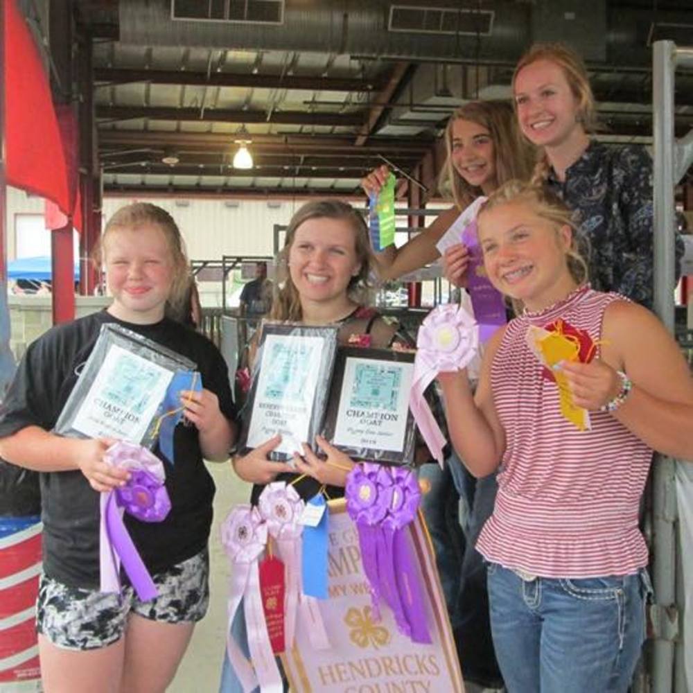 Meet your Posher, Shelby